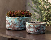 Photo of Campania Anh Bowl - Set of 8 - Exclusively Campania